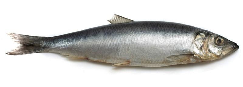 Продукты, которые опасно есть Продукты, которые опасно есть