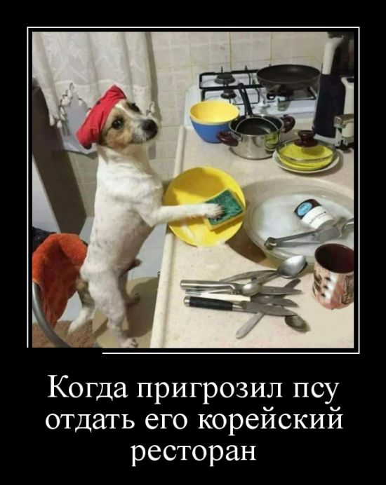 Демотиваторы