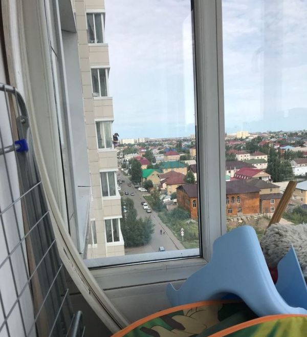 Отвага или слабоумие?