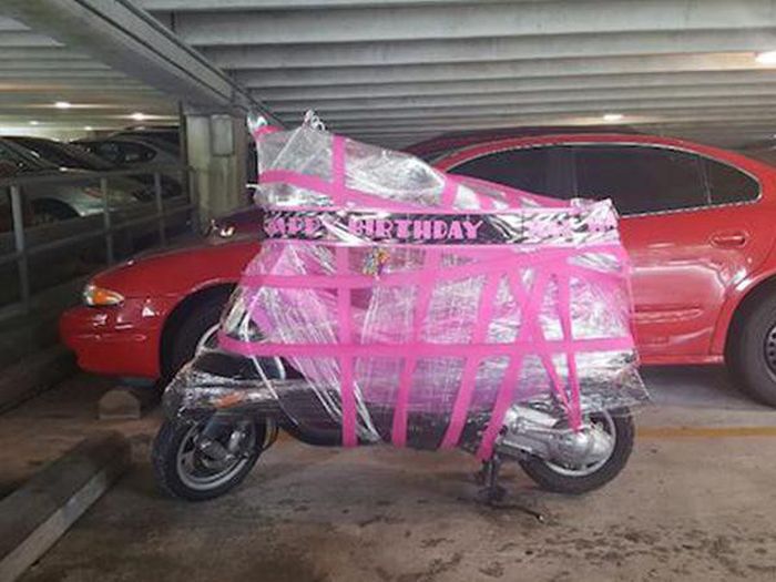 Порция картинок