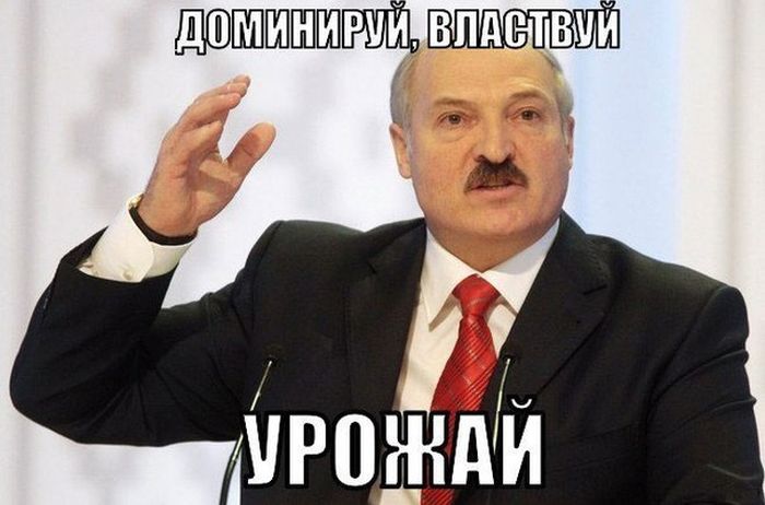 Порция картинок