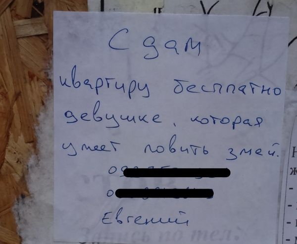 Порция картинок