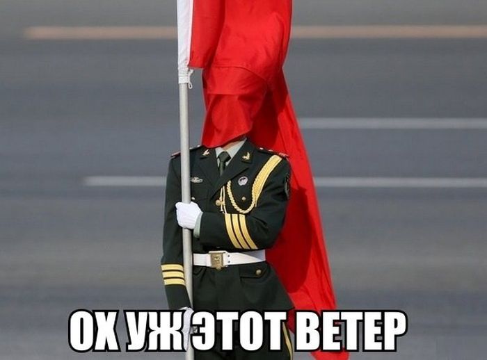 Порция картинок