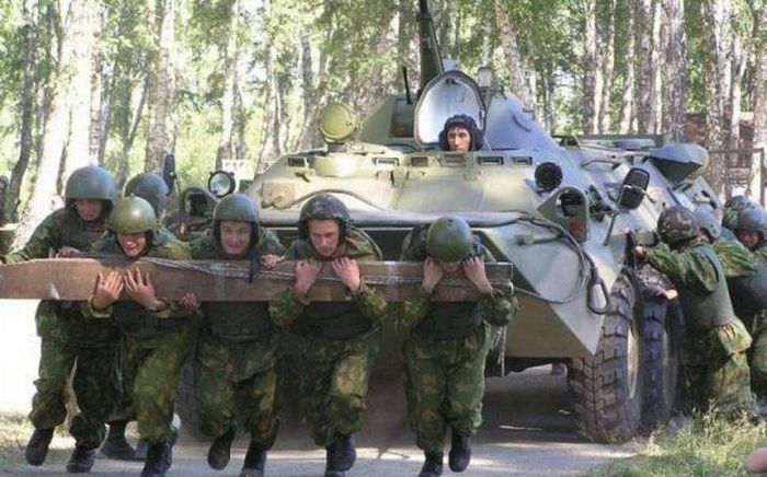 Порция картинок