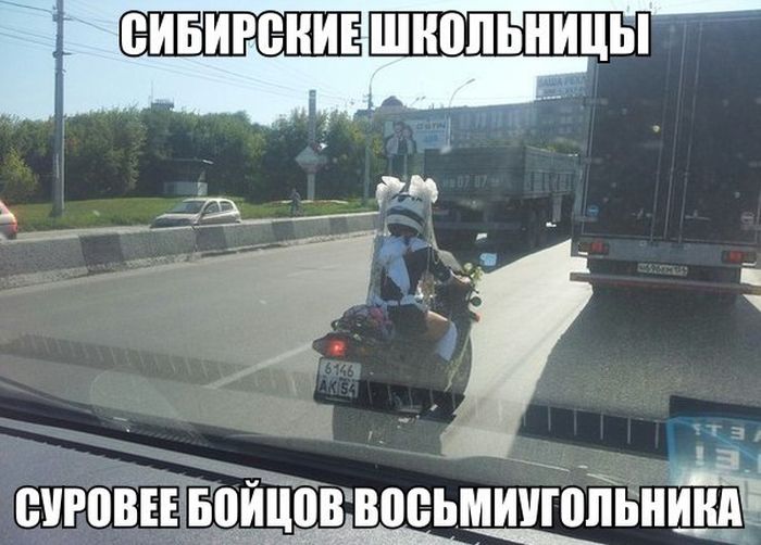 Порция картинок