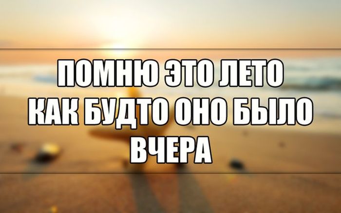 Порция картинок