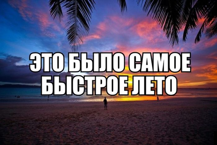 Порция картинок