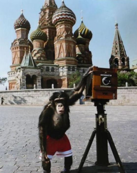 Самые дорогие работы советских и российских фотографов, проданных на лондонском аукционе