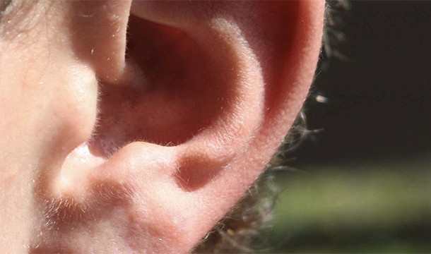15 биологических отличий между мужчинами и женщинами, о которых мало кому известно 15 биологических отличий между мужчинами и женщинами, о которых мало кому известно