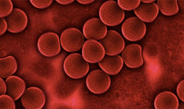 15 биологических отличий между мужчинами и женщинами, о которых мало кому известно 15 биологических отличий между мужчинами и женщинами, о которых мало кому известно