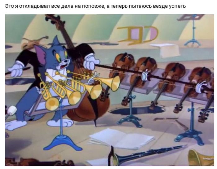 Прикольные картинки