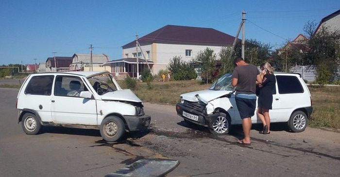 Прикольные картинки