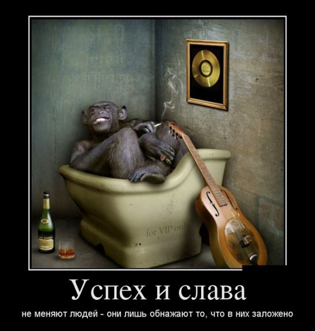 Демотиваторы