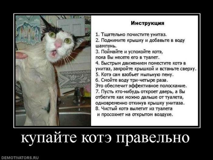 Демотиваторы (77 фото)