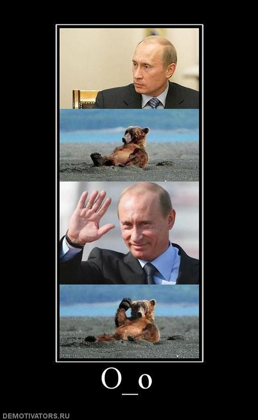 Демотиваторы (77 фото)