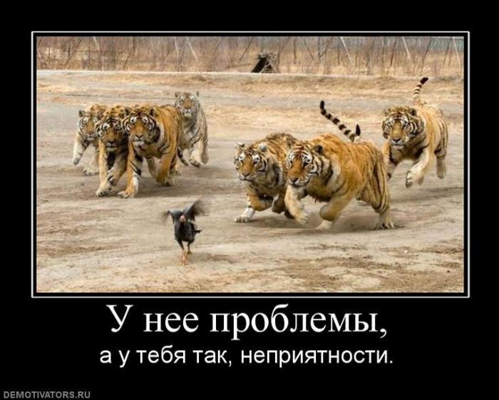 Демотиваторы (77 фото)