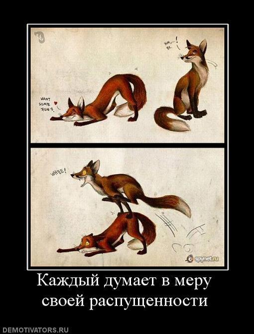 Демотиваторы (77 фото)