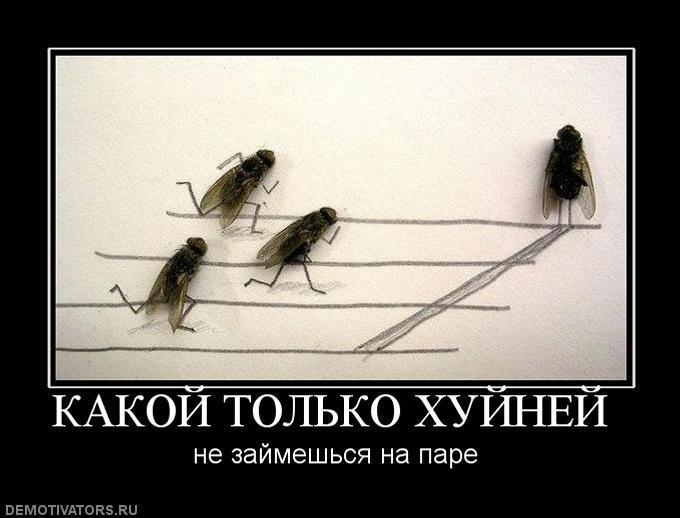 Демотиваторы (77 фото)