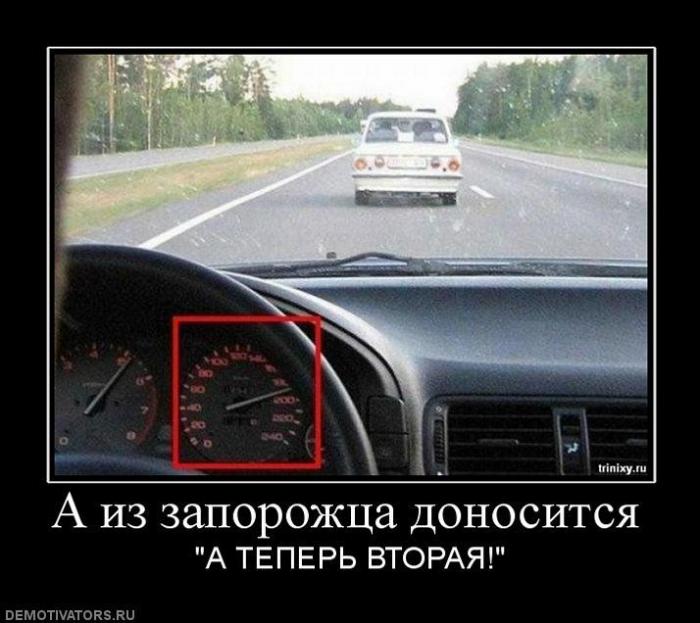 Демотиваторы (77 фото)