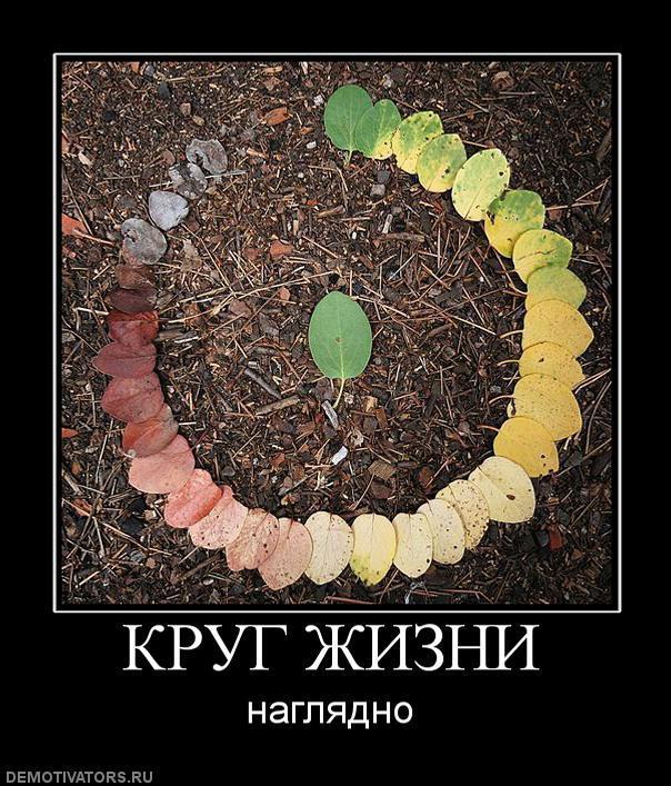 Демотиваторы (77 фото)