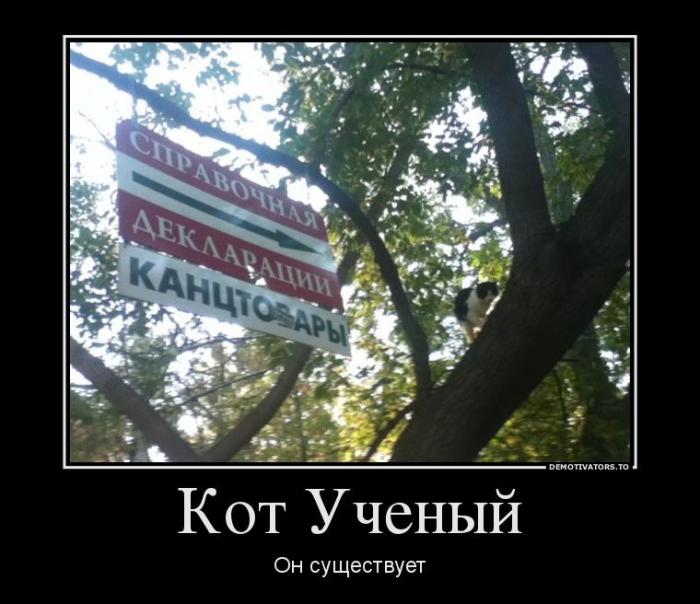 Демотиваторы (77 фото)