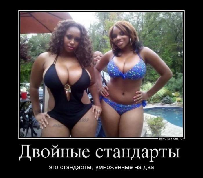 Демотиваторы (77 фото)