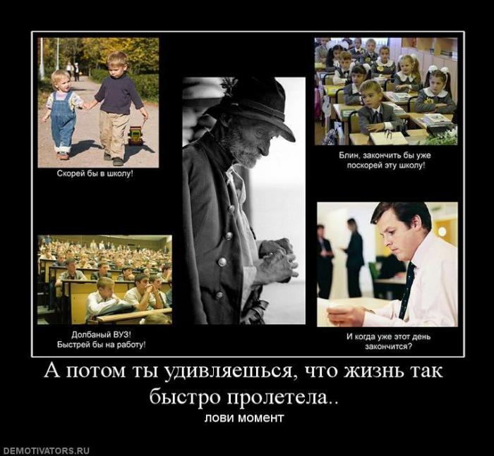 Демотиваторы (77 фото)