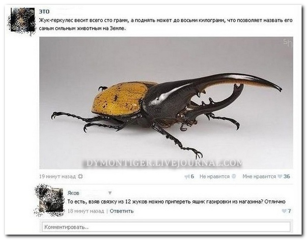 Смешные комментарии из социальных сетей 02.10.14 (30 фото)