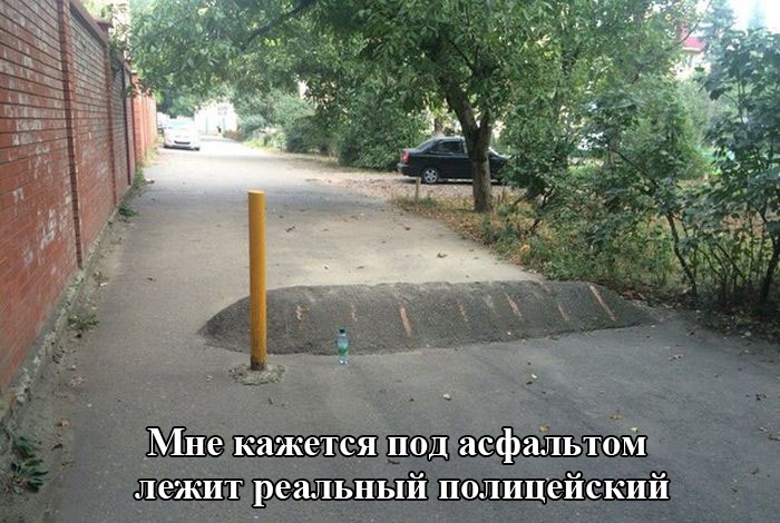 Порция картинок