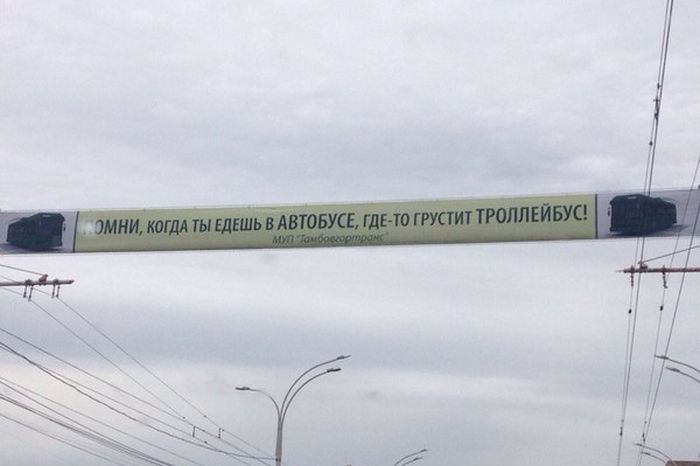 Порция картинок