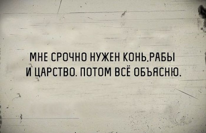 Порция картинок