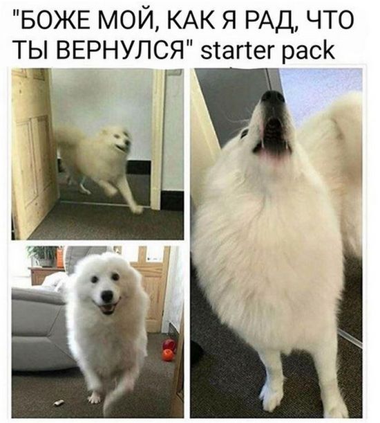Прикольные картинки