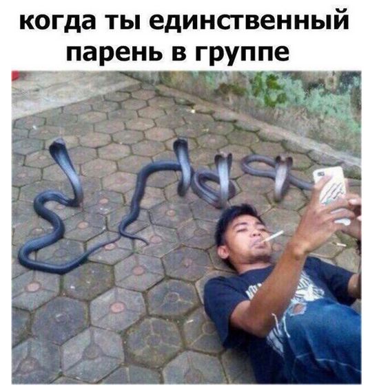 Прикольные картинки