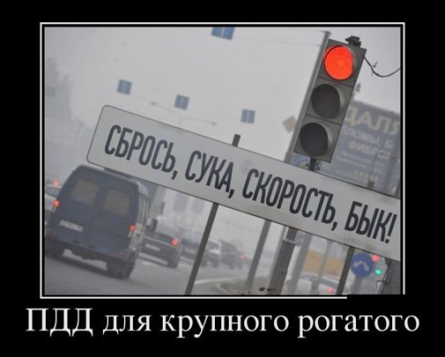 Демотиваторы