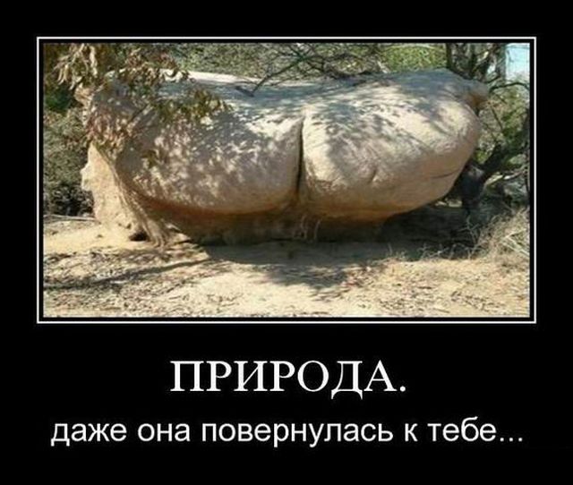 Демотиваторы