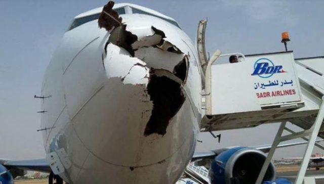 Boeing 737 после встречи со стаей птиц
