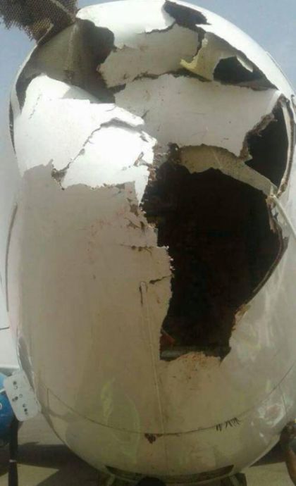 Boeing 737 после встречи со стаей птиц