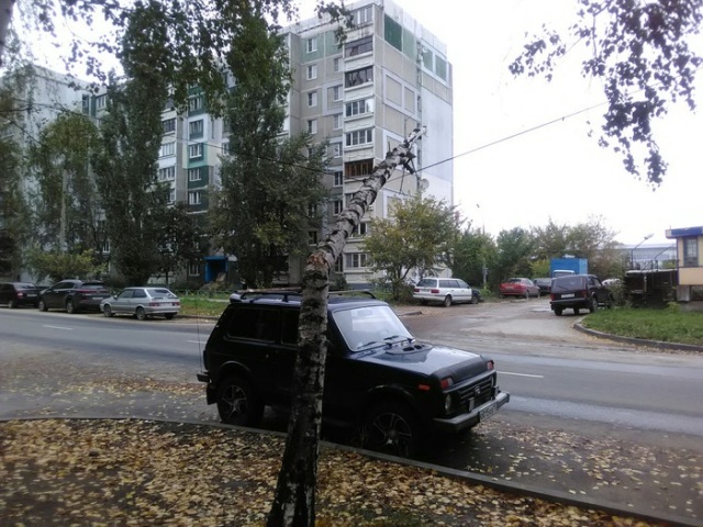 Прикольные картинки