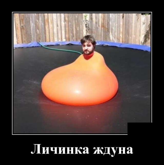 Демотиваторы