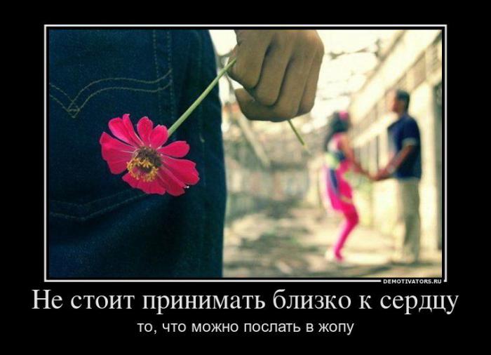 Демотиваторы (64 фото)