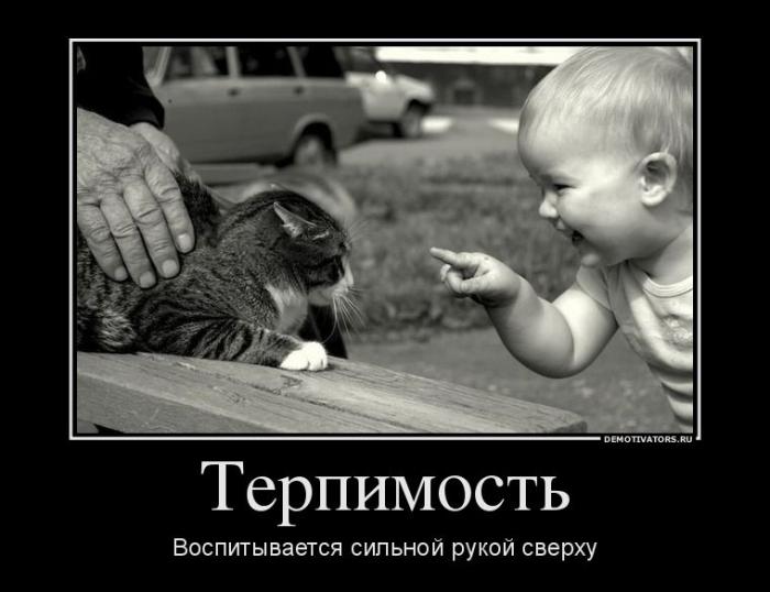 Демотиваторы (64 фото)