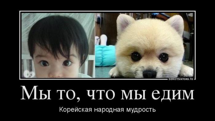 Демотиваторы (64 фото)
