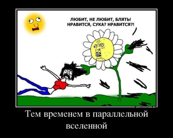 Демотиваторы (64 фото)