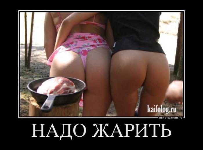 Демотиваторы (64 фото)