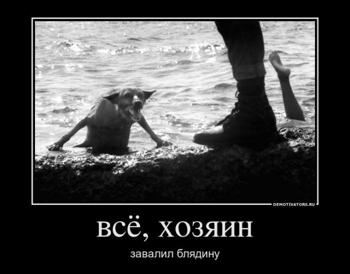 Демотиваторы (64 фото)