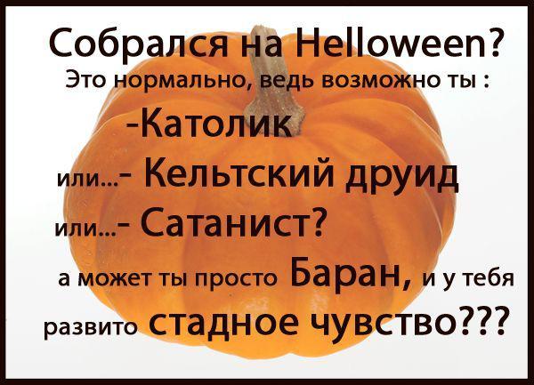 Прикольные картинки (80 фото)