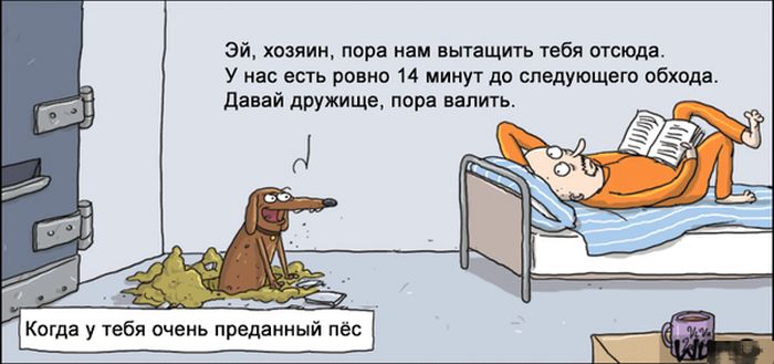 Комиксы