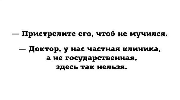Порция картинок