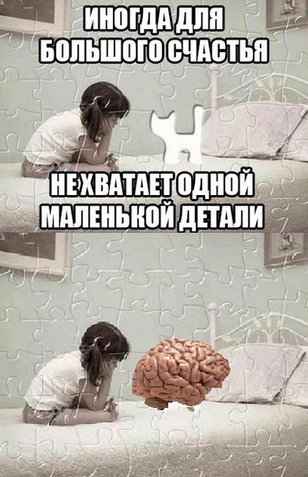 Порция картинок