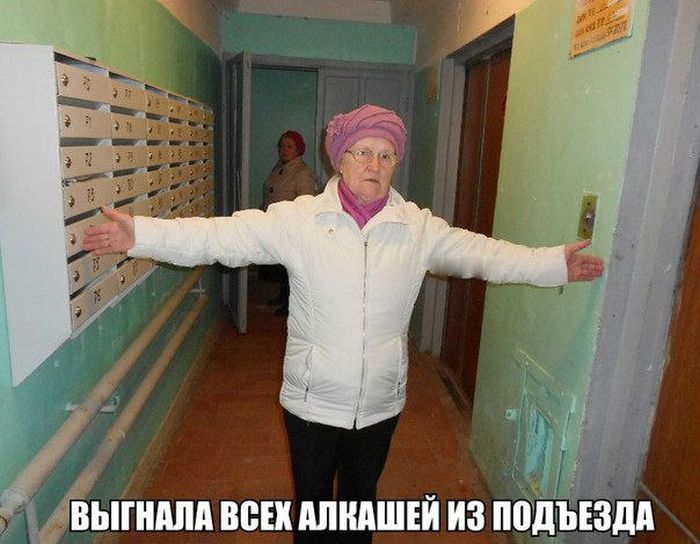 Порция картинок